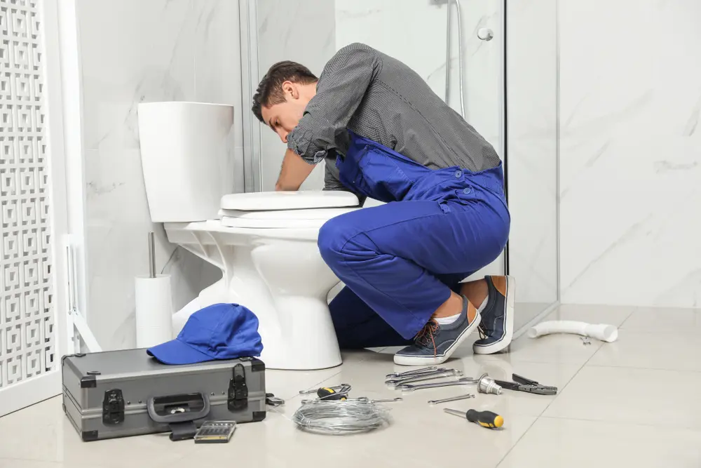 Toilet Repair in Shoreview